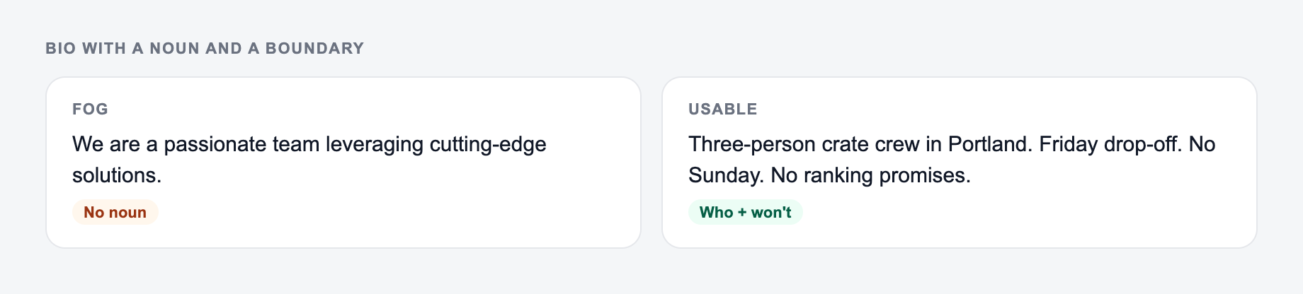 Screenshot from the AI Company Bio Generator showing a company bio with a noun and a boundary, versus passionate-team brochure copy