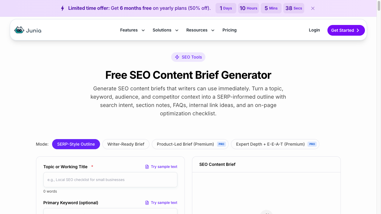 Screenshot of the Junia AI SEO content brief generator form