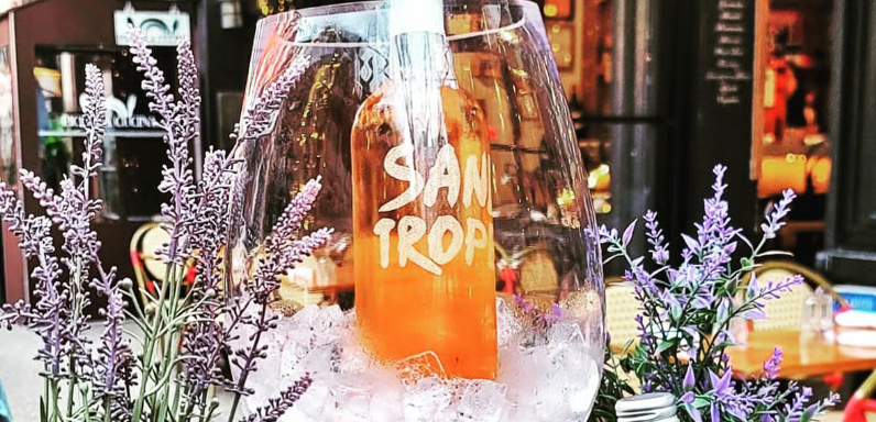 VIP Dinner & Wine Pairing