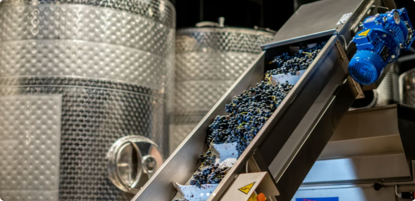 Tour and Tasting at Chicago Winery