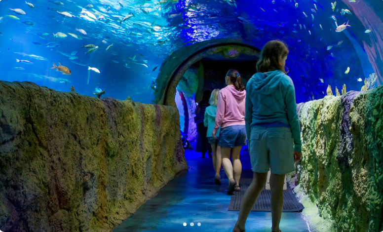 San Antonio Aquarium