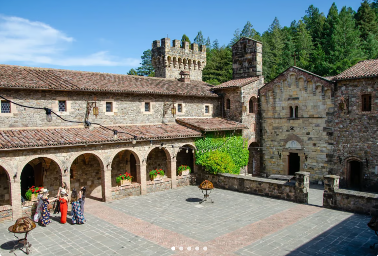 Redwoods and California Wine Country Tour with Gourmet Lunch