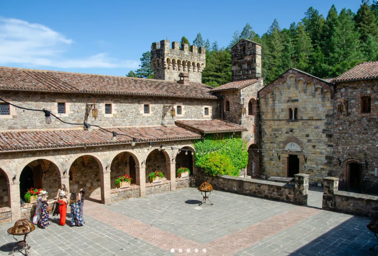 Redwoods and California Wine Country Tour with Gourmet Lunch