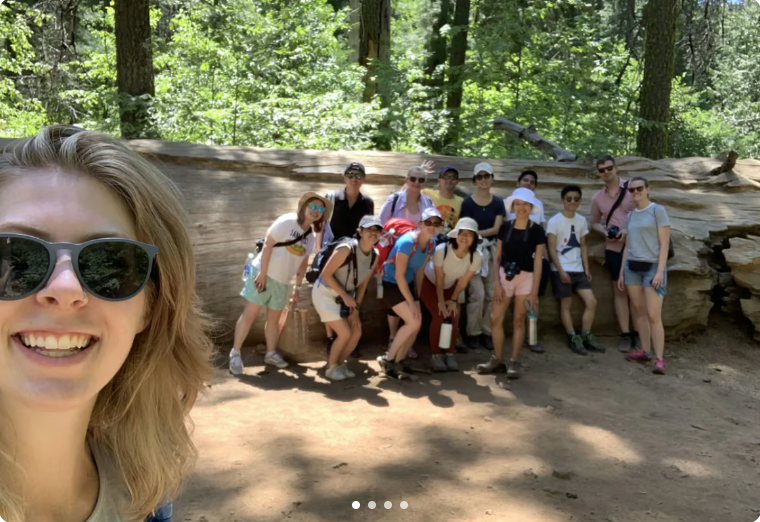 Yosemite and Giant Sequoias Day Tour from San Francisco