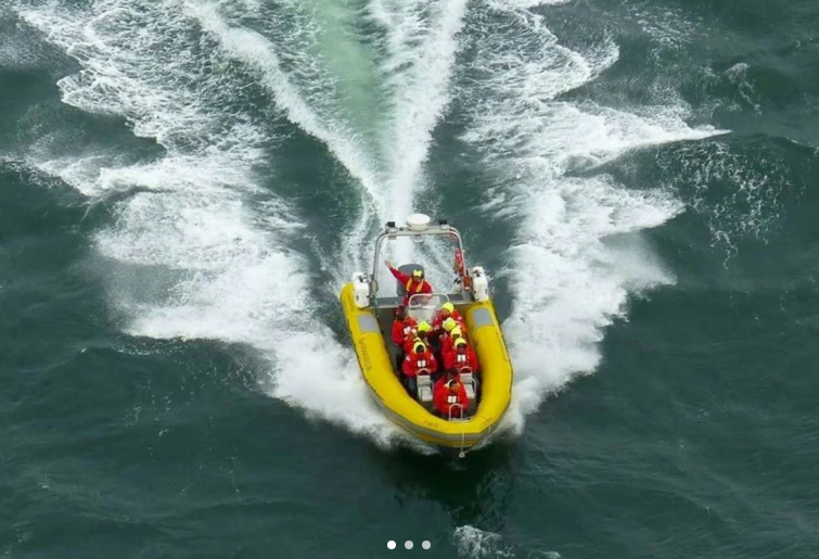 Golden Gate and Bay Bridges Speedboat Tour