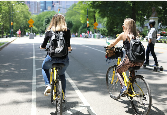 Central Park Picnic and Full Day Bike Rental Package
