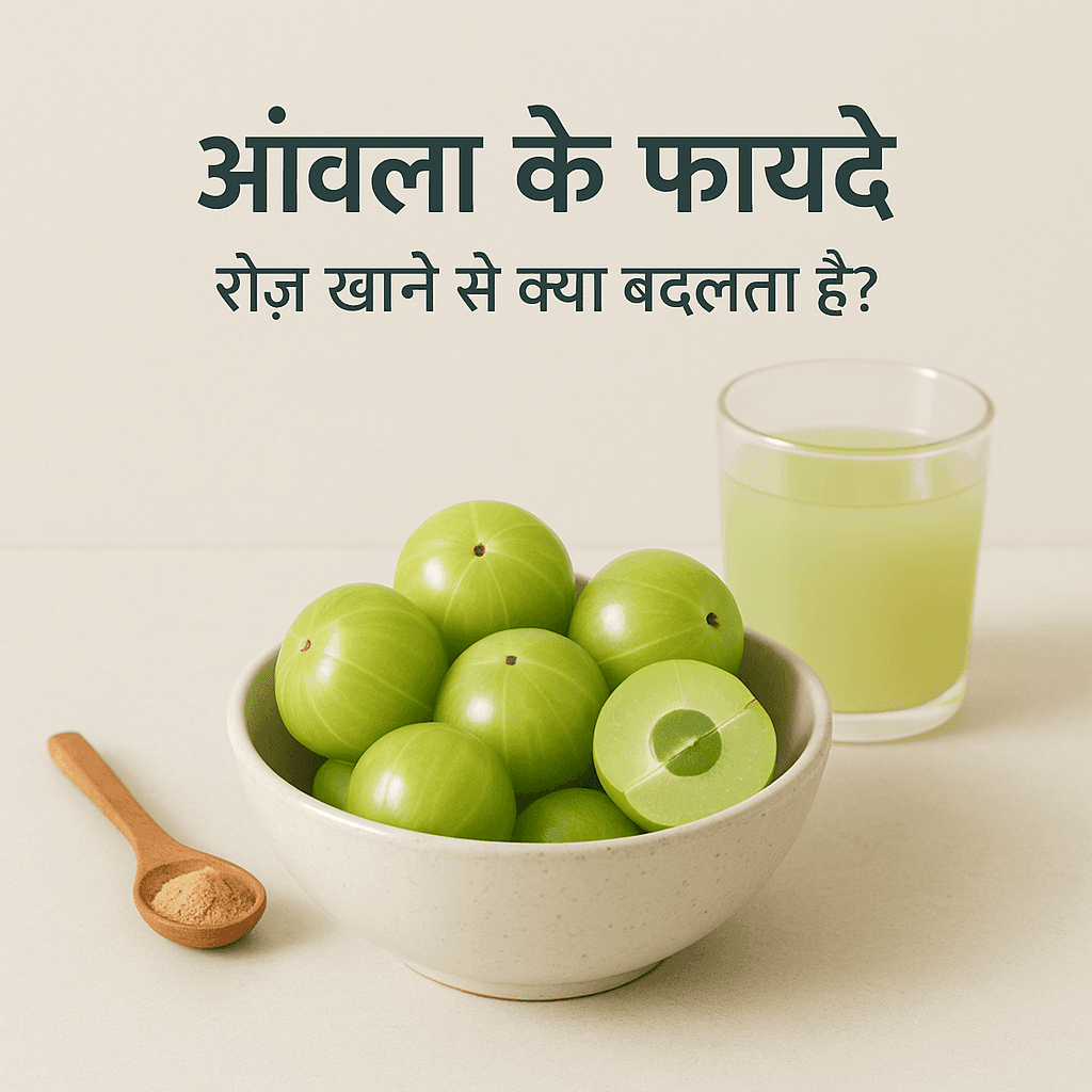 आंवला के फायदे: रोज खाने से क्या बदलता है?