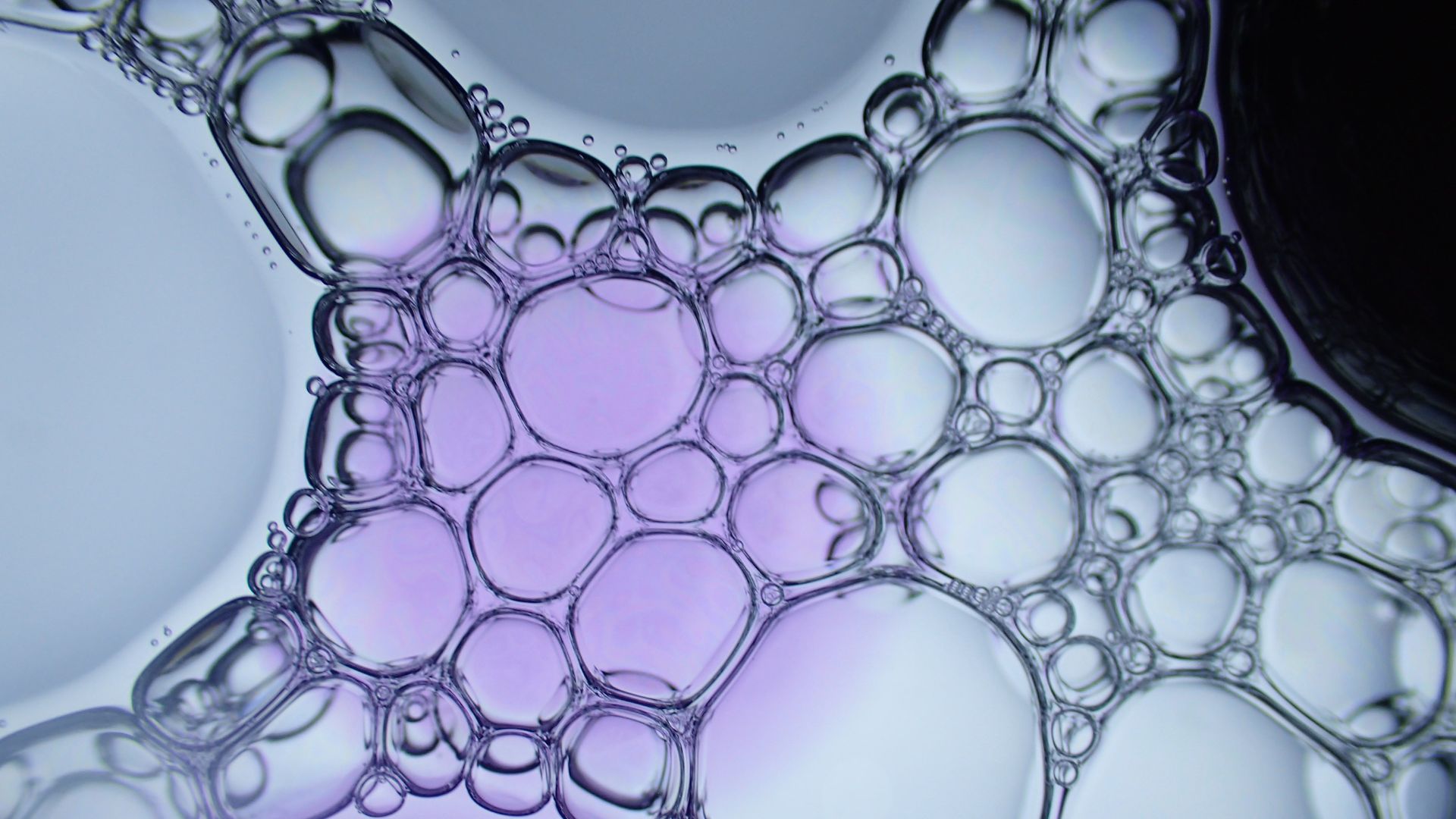 exfoliant gommage lèvres