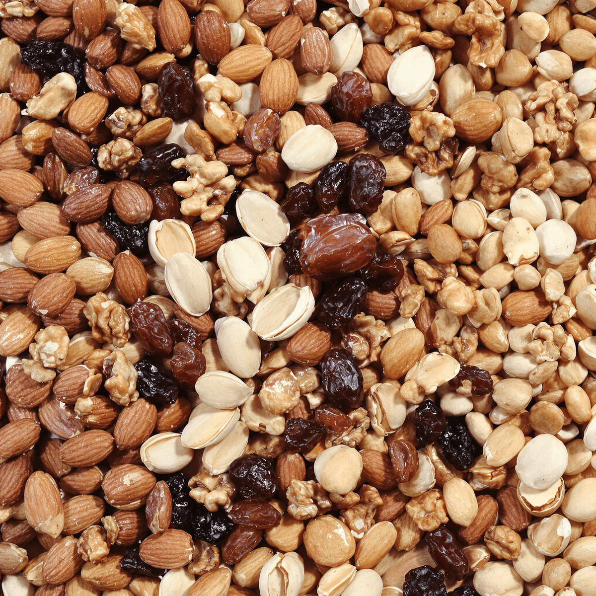 Close-up of assorted dry fruits like almonds, walnuts, pistachios, dates, and raisins arranged on a wooden surface with soft natural lighting.