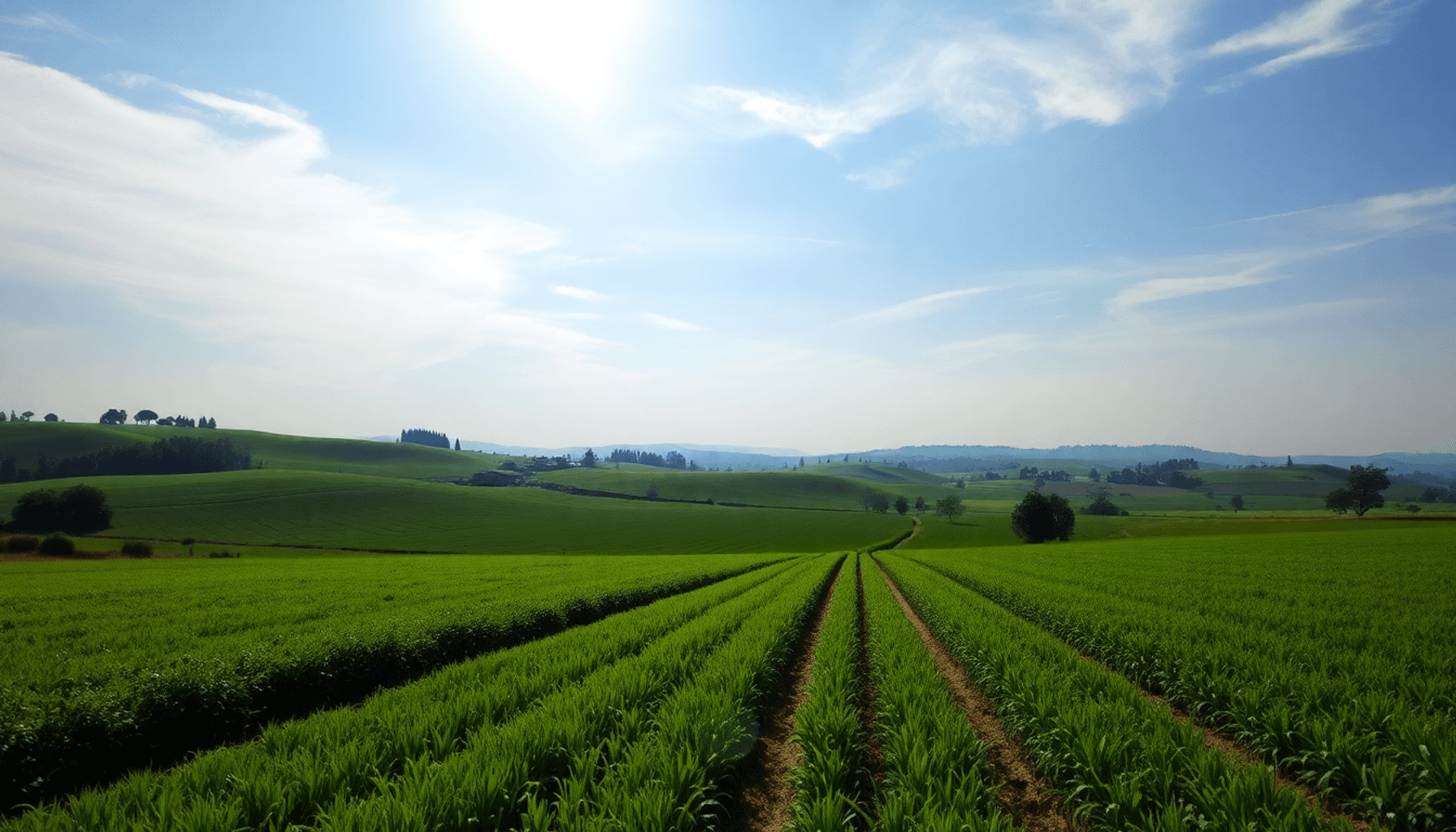 Un paysage rural paisible avec des champs verts, des cultures, des collines ondulantes et un ciel lumineux