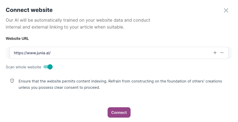 Enter Your Website's URL for Connection